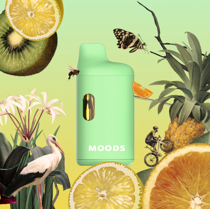moods - Moods - Everglade Haze Mini - 1g AIO Main Image