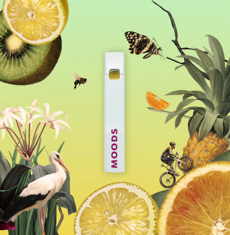moods - Moods - Everglade Haze Dash - 0.5g AIO Main Image