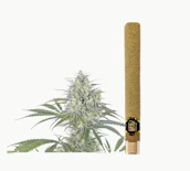 Orange Creamsicle -Hybrid- 62.2% THC | 2g (Infused Blunt) | Left Coast -ll9 front