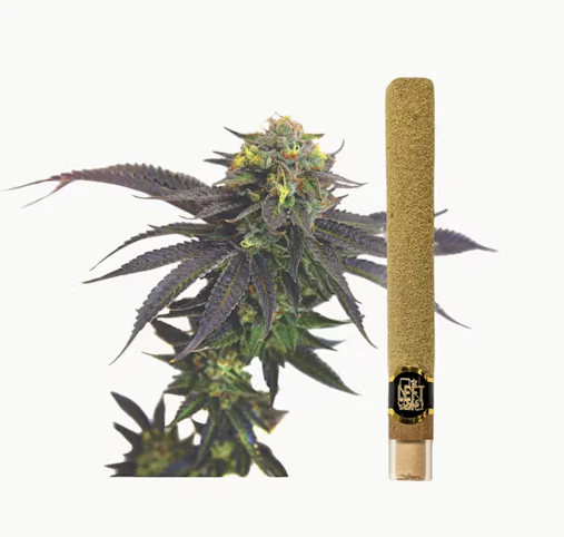 LEFT COAST - Grape Cookie -Indica- 65.3% THC | 2g (Infused Blunt) | Left Coast -ll8 front