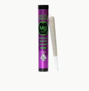 Microgreens - Micro Greenz - Preroll - Lemon Tree x Sour Tangie - 1G
