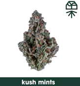 Curaleaf Whole Flower 3.5g Kush Mints (I) 01190