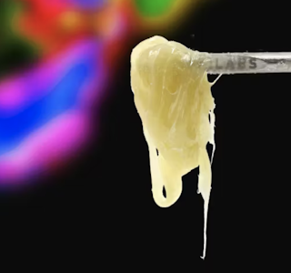 710 Labs - 710 Labs | Cereal Star #5 | Live Rosin First Press | 1g