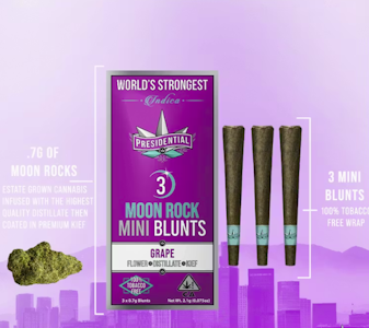 PRESIDENTIAL - [Presidential] Infused Mini Blunts 3 Pack - 2.1g - Grape (I)