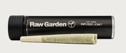 Raw Garden Infused Sauce Joint 1g - Kush Crasher 27%
