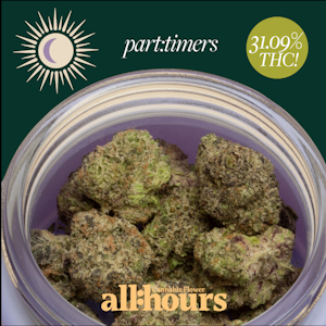 THERAPLANT - all:hours Hash Burger part:timers 41390
