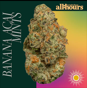 THERAPLANT - all:hours Banana Acai Mints 41144