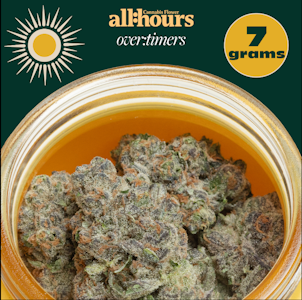 THERAPLANT - all:hours Nimbus Snacks over:timers 41367