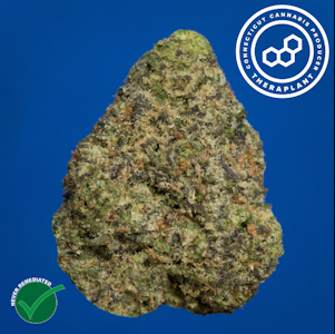 THERAPLANT - Wedding Cake 41357