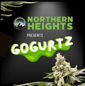 Gogurtz Popcorn - 14g
