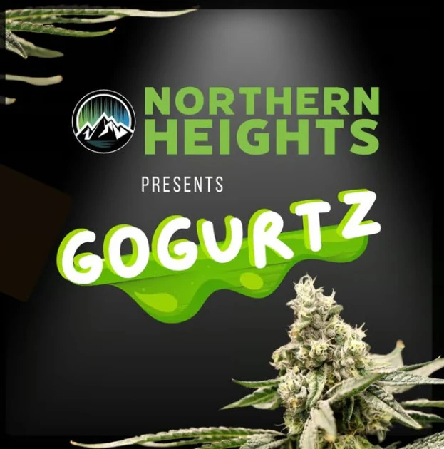 NORTHERN HEIGHTS - Gogurtz Popcorn - 14g Main Image