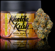 Baby Turtle 3.5g Jar - Khalifa Kush