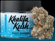 Point Breeze 3.5g Jar - Khalifa Kush