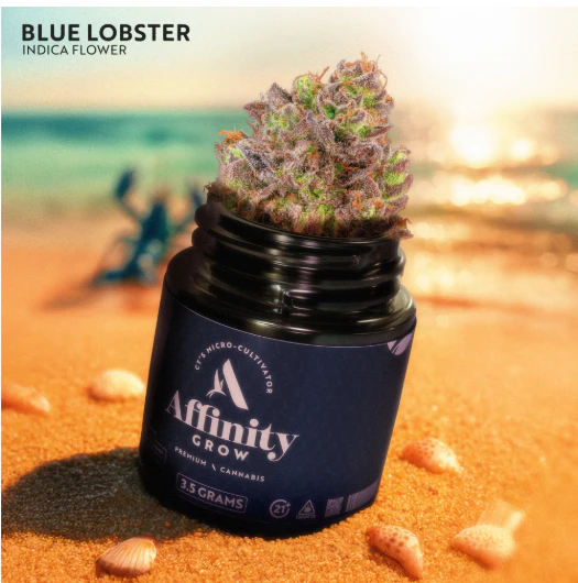 AFFINITY - Blue Lobster Flower 00743 Main Image
