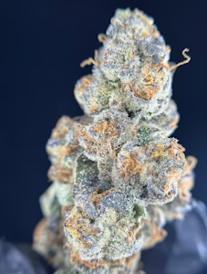 Green Lightning - [REC] Green Lightning | Wedding Pie | 3.5g Flower