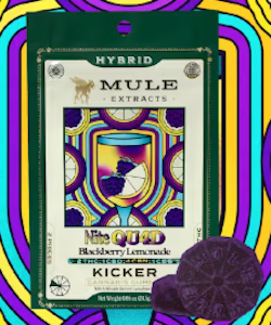Mule Extract - Blackberry Lemonade Nite QUAD-2pk