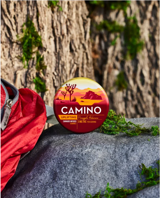 Camino - Camino-Pineapple Habanero0-20ct 00327 Main Image