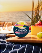 Camino-Watermelon Lemonade-20ct 00204