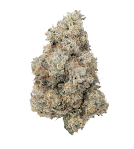 Garden State Gas - ZIPS | Jet Fuel x Gelato | 28g