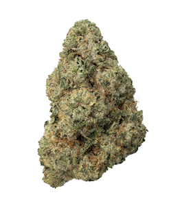 Garden State Gas - ZIPS | Loompas Headband | 28g