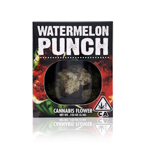 Watermelon Punch | 3.5g | Decibel Gardens