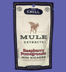 Mule | Raspberry Pomegranate Mini Kickers | 10pk/100mg