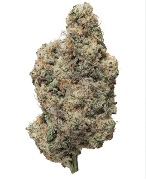 Herbarium - Herbarium | White Gummies | 3.5g - Mylar Main Image