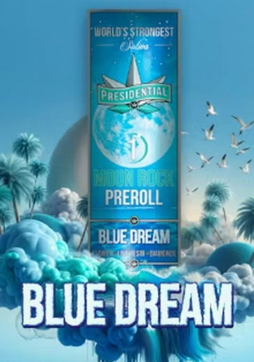 Blue Dream - Infused Preroll - 1.0g