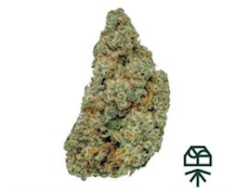 Curaleaf Whole Flower 3.5g Pineapple Sunrise (S) 01219