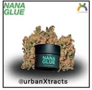 Urban Xtracts | Flower - NaNa Glue | 3.5g