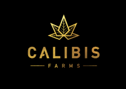 Calibis 1g Cartridge - Gotti Belts 83%