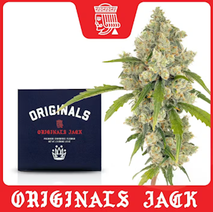 ORIGINALS - Originals - Flower - Jack Herer - 3.5G