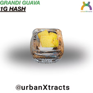 URBANXTRACTS - Urban Xtracts- Grandi Guava- 1g Solventless "Dad" Hash