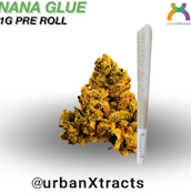 Urban Xtracts- Nana Glue- 1g preroll