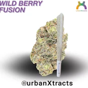Urban Xtracts- Wild Berry Fusion- 1g preroll