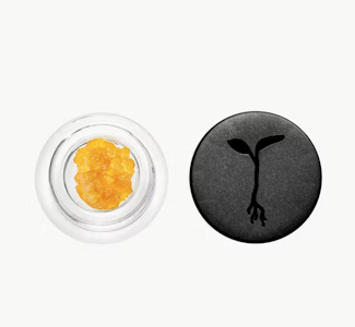RAW GARDEN - RAW GARDEN 1G Chem Diesel Live Resin