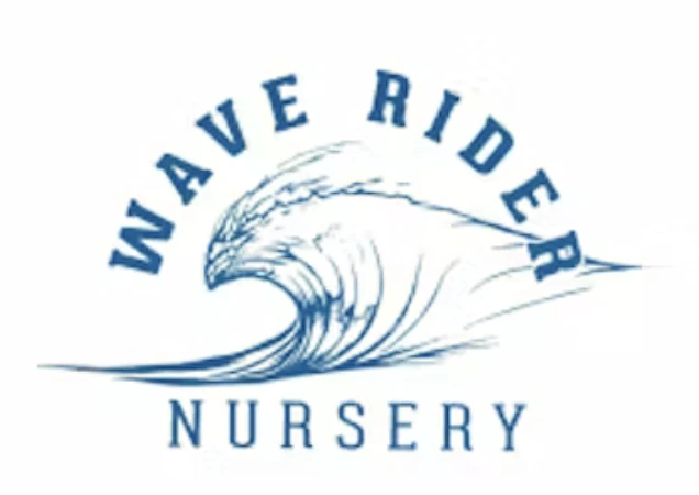 Wave Rider - 2090 (H) | 14g Bag | Wave Rider Main Image