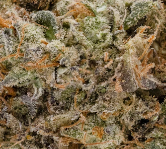 AltSol - 14g Tahiti Twist Hybrid