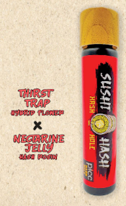 Picc - Picc - Hash Rosin Infused - Thirst Trap x Nectarine Jelly - 1g - Preroll