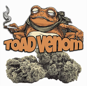 Green Dragon - Green Dragon 3.5G Toad Venom Indoor Flower