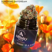 Sunshine Daydream Flower I 00710