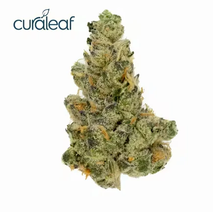 Curaleaf - Curaleaf Whole Flower 3.5g Astro GMO (I) 01228 Main Image