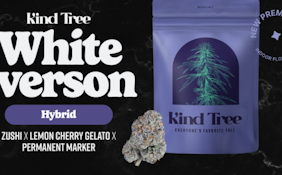Kind Tree | Premium Hand Trimmed Flower | White Iverson | 3.5g