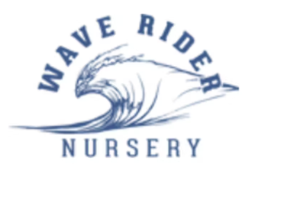 Wave Rider - Orange Krush (S) | 7g Smalls Jar | Wave Rider