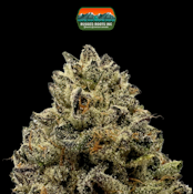 Flower | Cranebow City