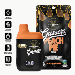 CLAYBOURNE CO. - Claybourne Co. - 1g AIO - Peach Pie