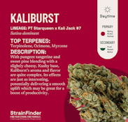 The Botanist | Flower | Kaliburst | 3.5g