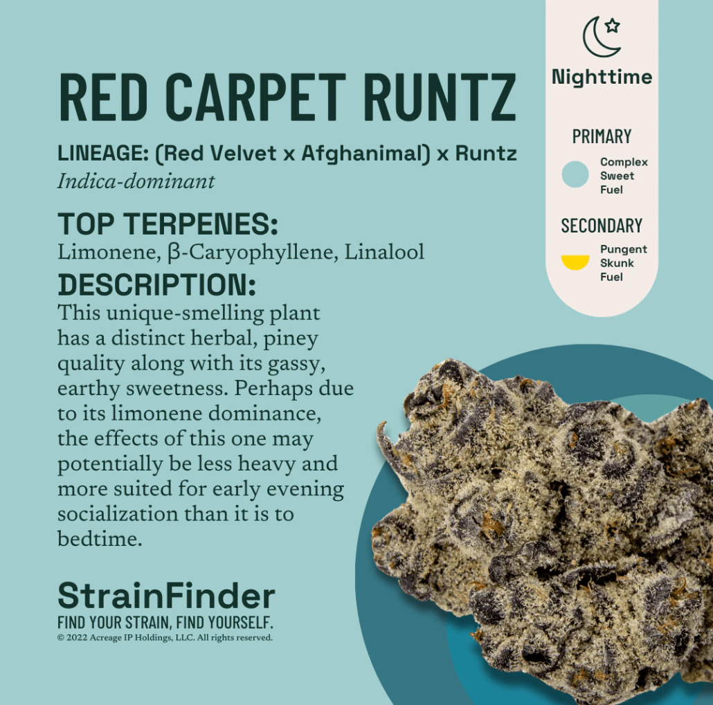 The Botanist - The Botanist | Flower | Red Carpet Runtz | 14g Main Image