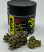 Hashtag Honey | Flower | Trop Fire | 3.5g