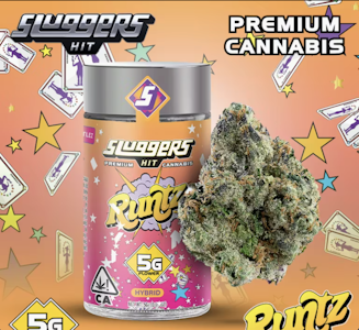 HIT SLUGGERS - Runtz - Indoor - 5g